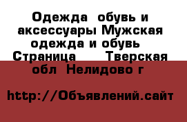 Одежда, обувь и аксессуары Мужская одежда и обувь - Страница 11 . Тверская обл.,Нелидово г.